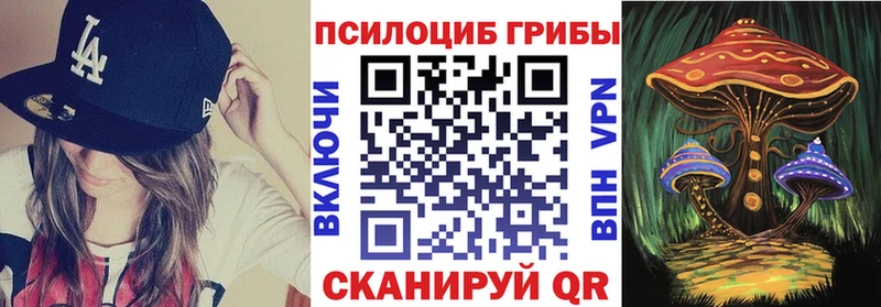 Псилоцибиновые грибы мухоморы  Вельск 